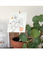 Cadeaudoosje Waardering zaaien